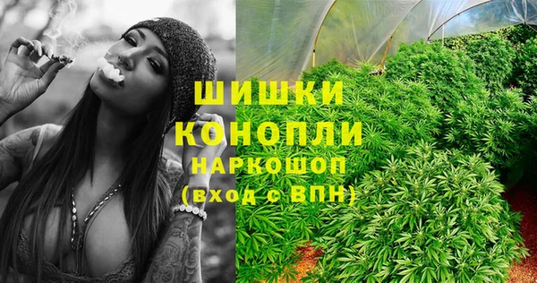 кристаллы Гусь-Хрустальный