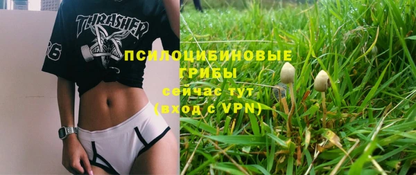 кристаллы Гусь-Хрустальный