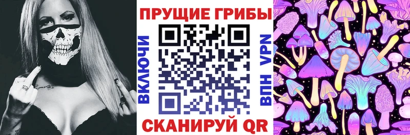 купить наркотики цена Находка Галлюциногенные грибы прущие грибы